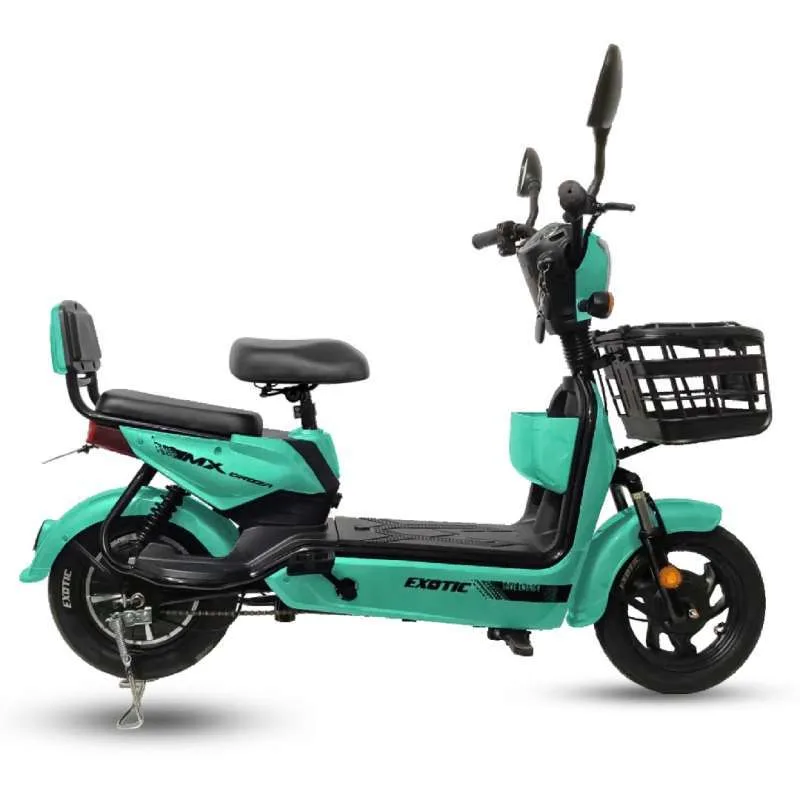 service sepeda listrik exotic